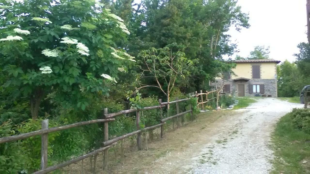 Il Gelso Rosso Apartment Comunanza Exterior foto